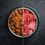 What Makes Freeze Dried Beef Liver for Dogs a High-Protein Superfood?