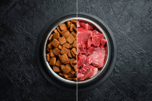 What Makes Freeze Dried Beef Liver for Dogs a High-Protein Superfood?